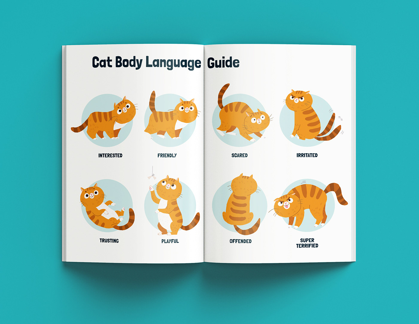 animals Booklet children cover design infographics Layout publication vector