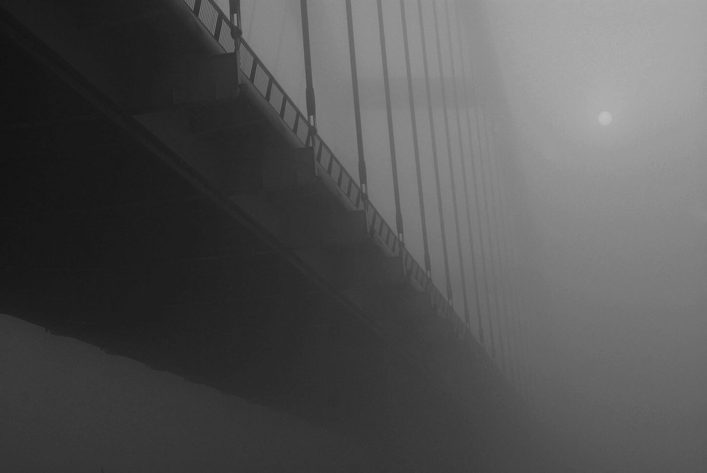 Photography  bridge dog girl fog black and white