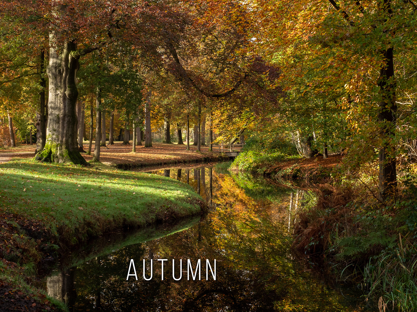 Herfst in natuurpark Groeneveld in Baarn, Nederland