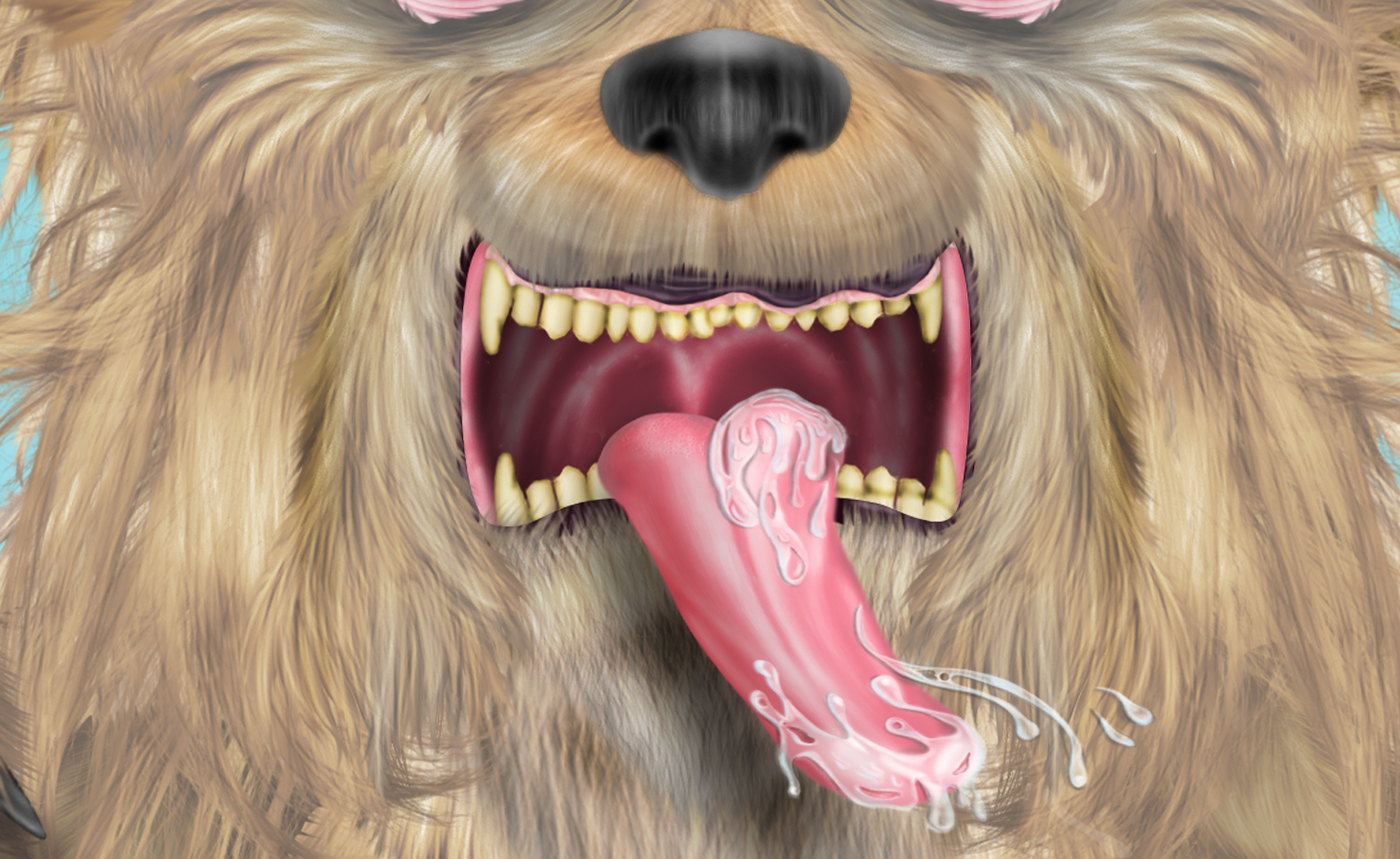 cachorro dog animal desenho digital pintura pelo Fur