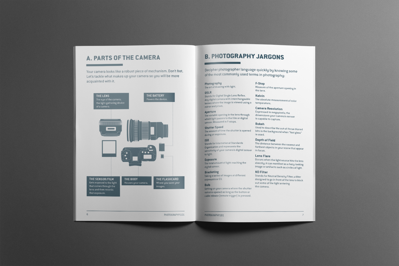 Guide brochure Photography  learn photography monochrome vector editorial Layout