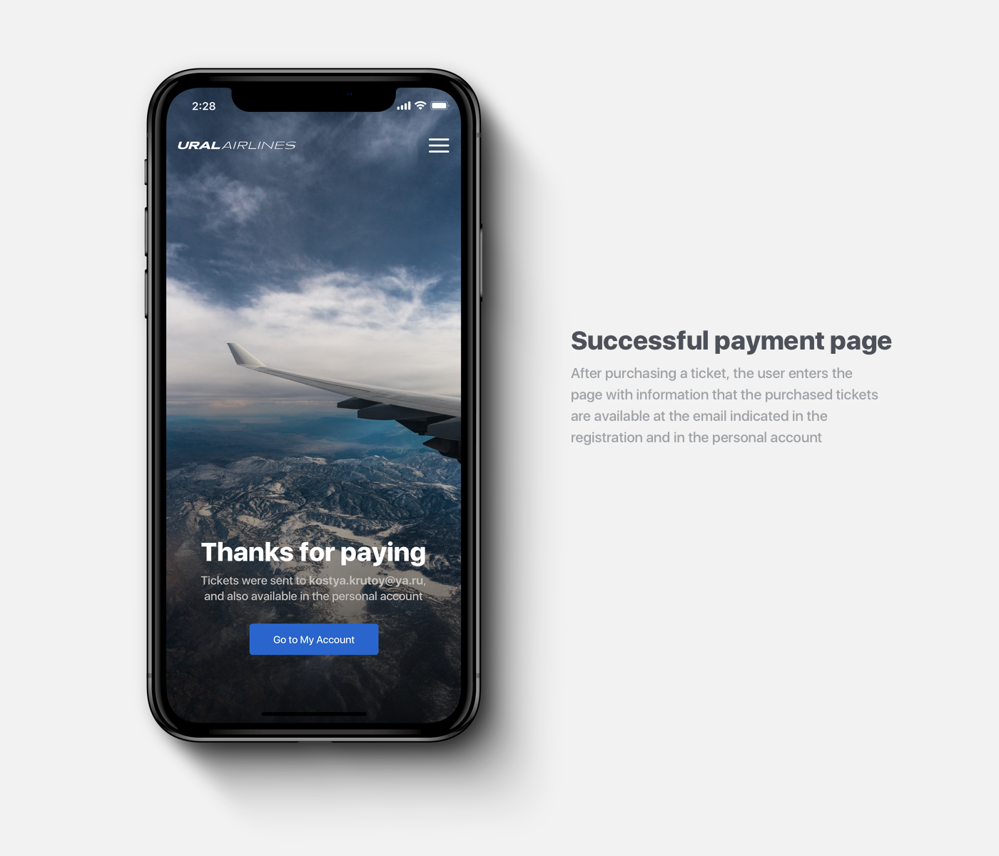flight Booking Airlines airplane web-design interaction animation  Avia booking Travel ural