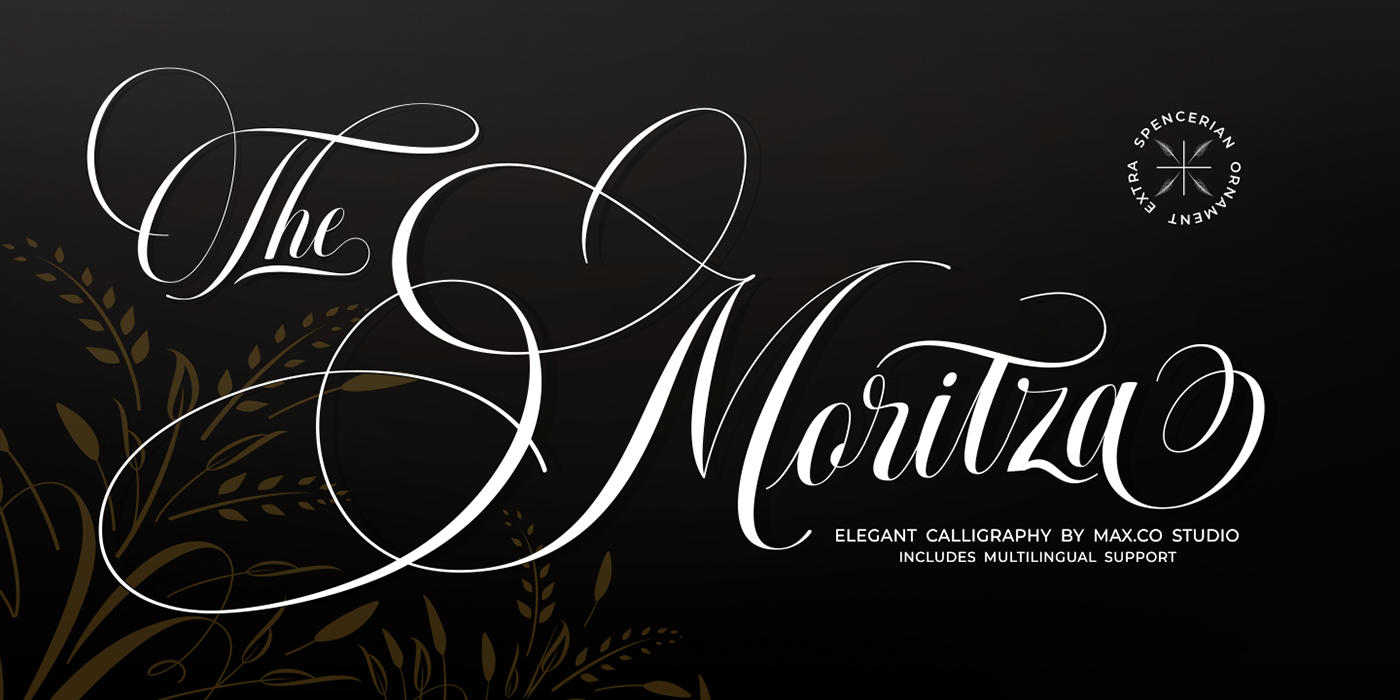 Calligraphy   elegant font font Logotype luxury penmanship quality font Script vintage website-font