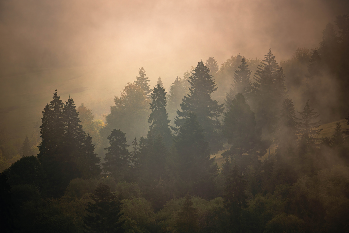 Landscape mountains Nature Photography  poland september Tree  view
