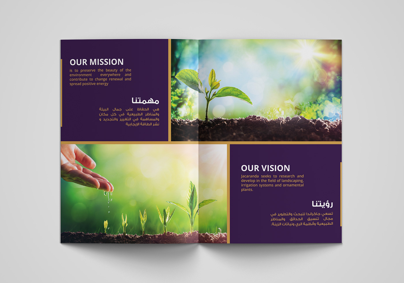 art direction  branding  brochure company profile creative Jacaranda Landscape monogram presentation Printing