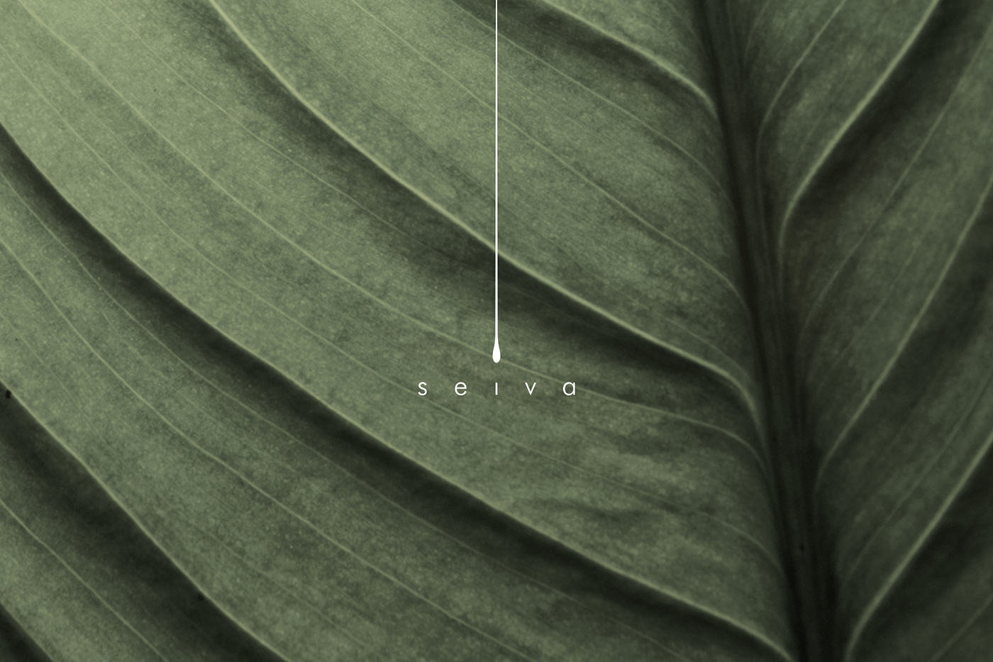 Seiva Nature brand clothes