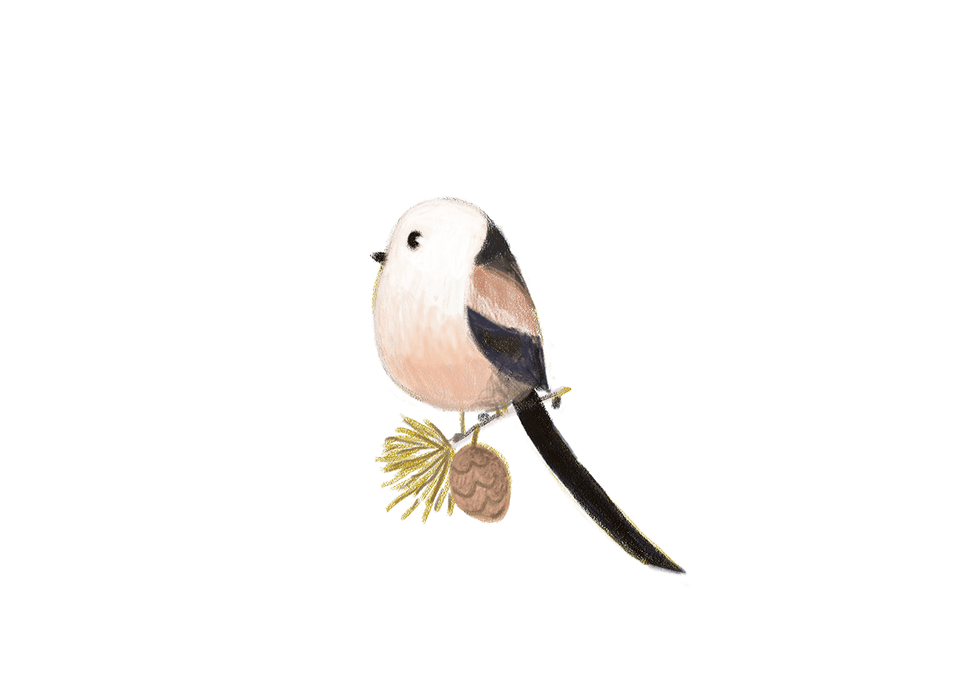 birds birdwatching Bird Illustration Nature bird logo bird nature illustration kingfisher wildlife bird icon
