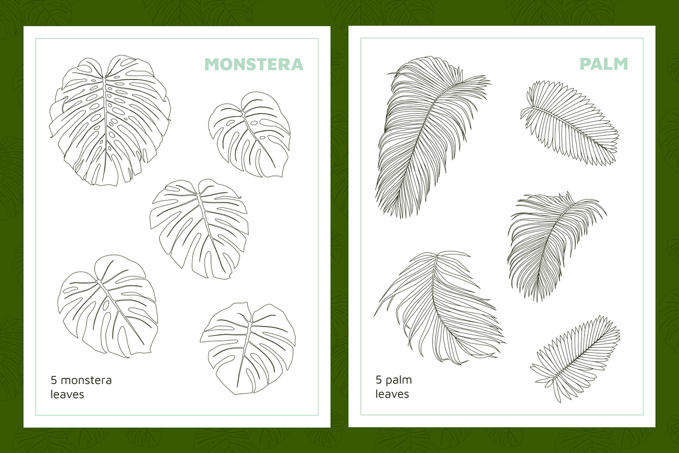 Monstera and Palm