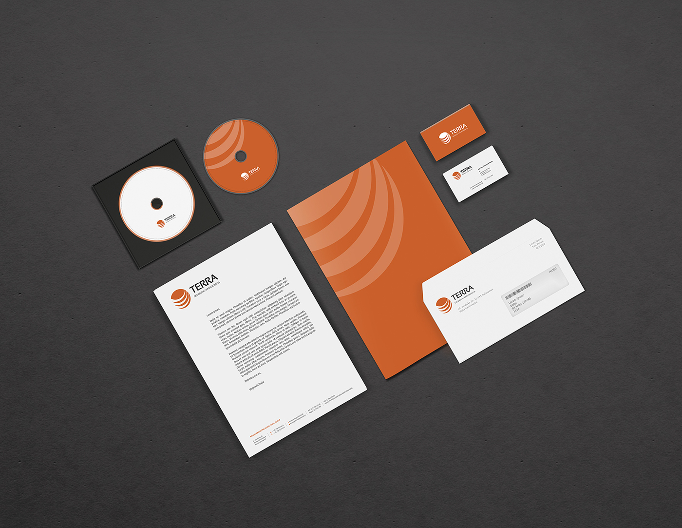 logo business card orange geodesy Logo Design brand identity logo geodesy branding  Business Cards