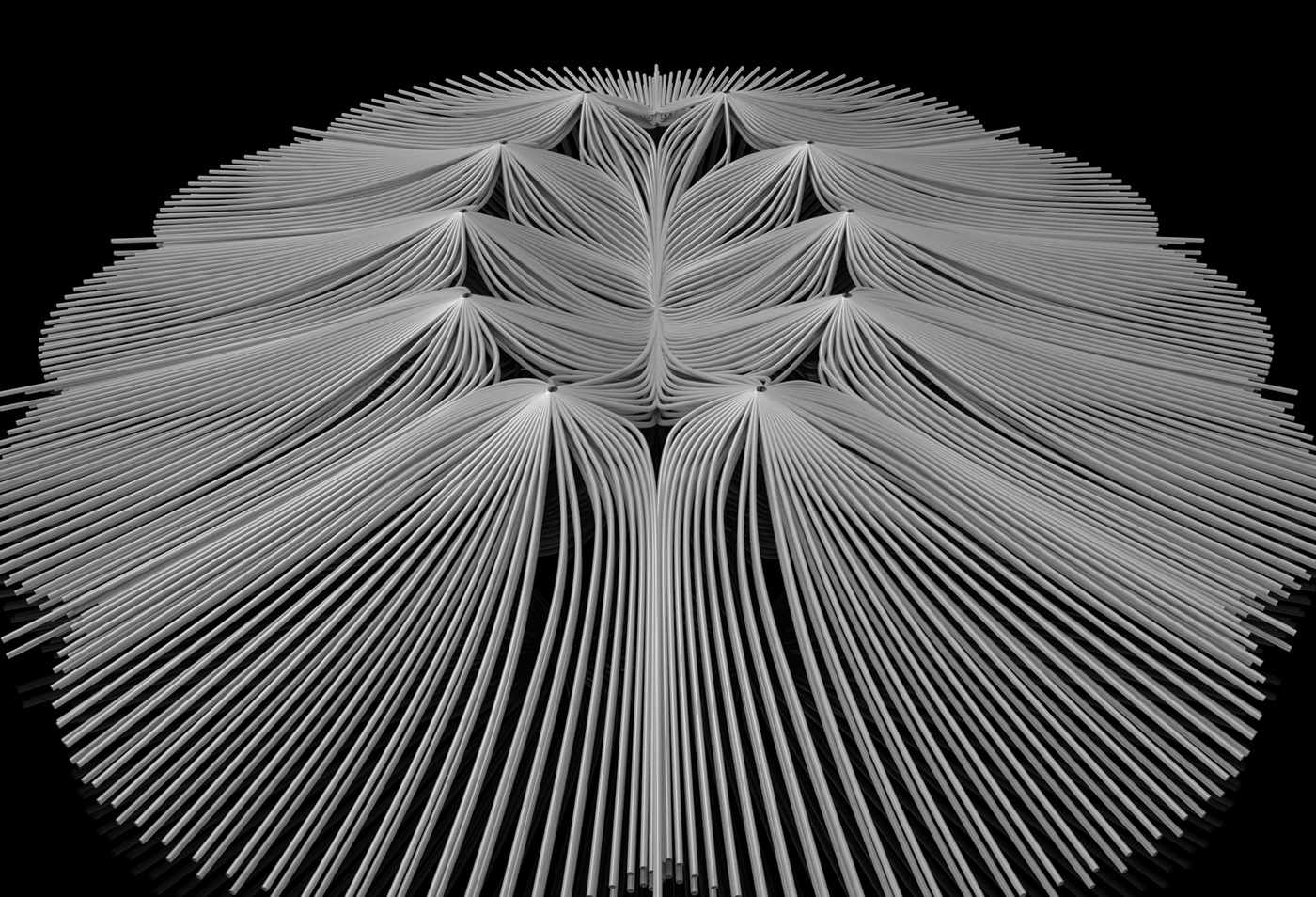 architecture parametric Rhino visualization algorithm generative generative design geometric pattern processing