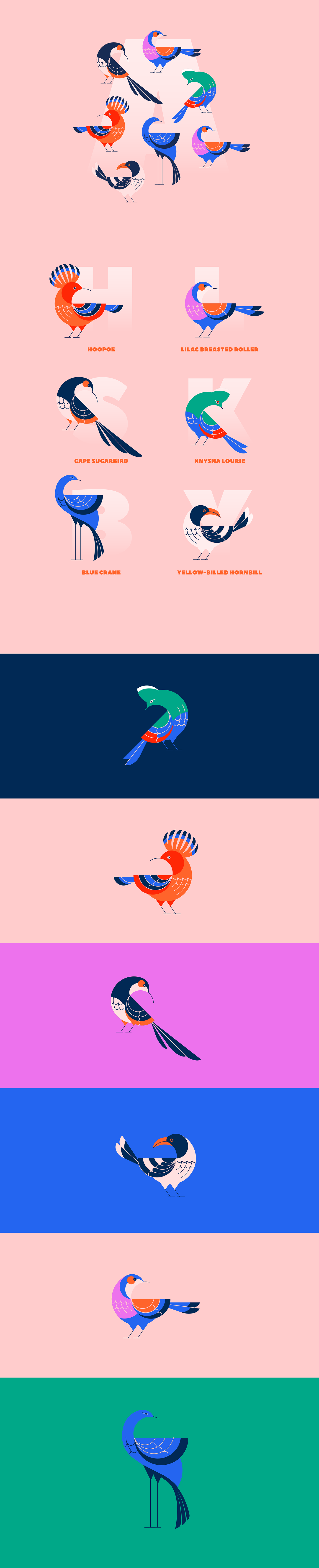 ILLUSTRATION  birds animals vector digitalart iconography logoforms