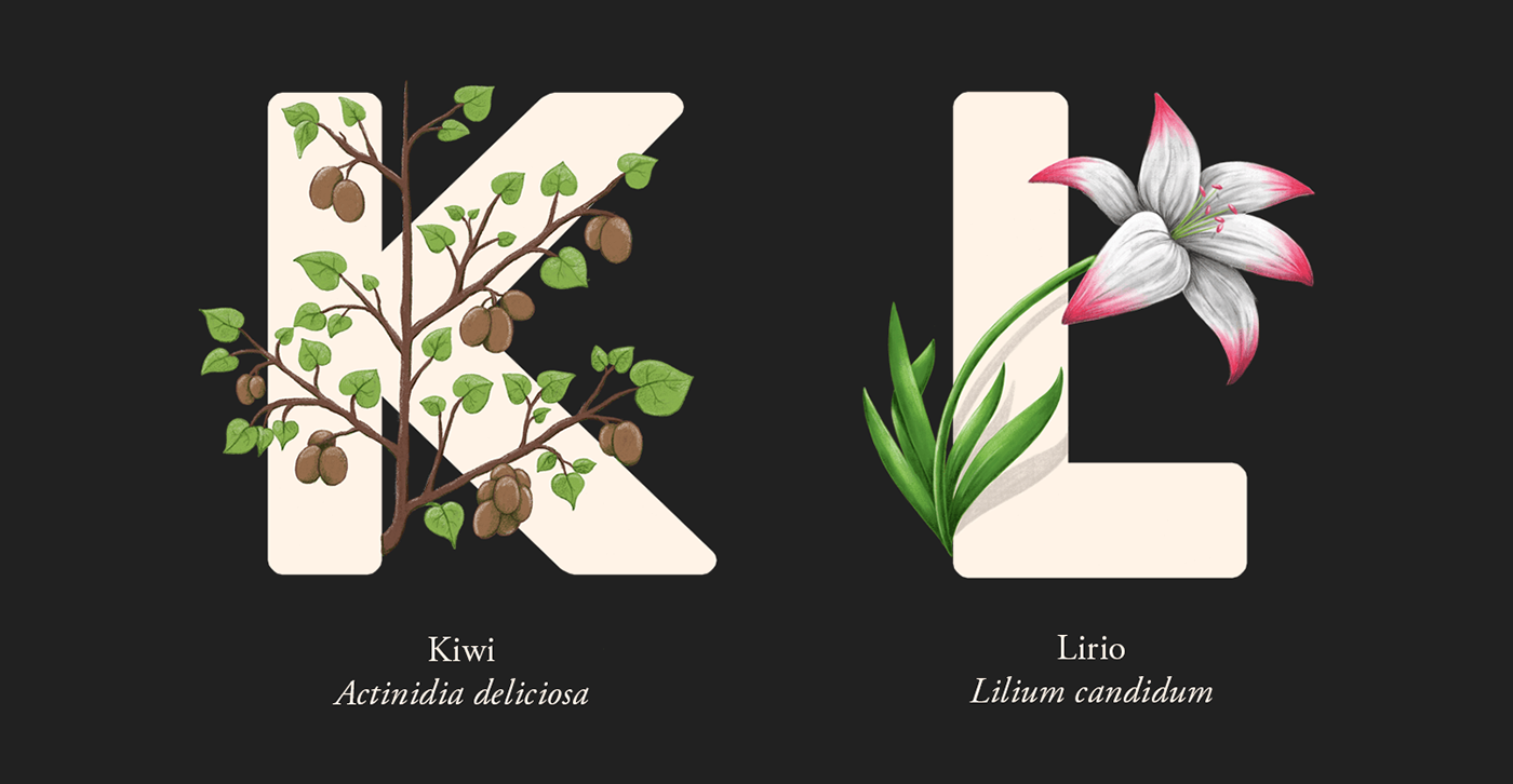 36daysoftype typography   ILLUSTRATION  plants Flowers alphabet abecedario ilustracion tipografia plantas