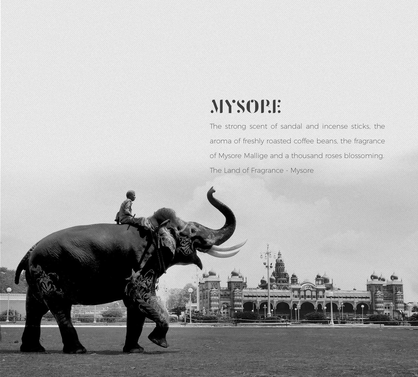 font design download mysore Typeface minimal round heading India asian