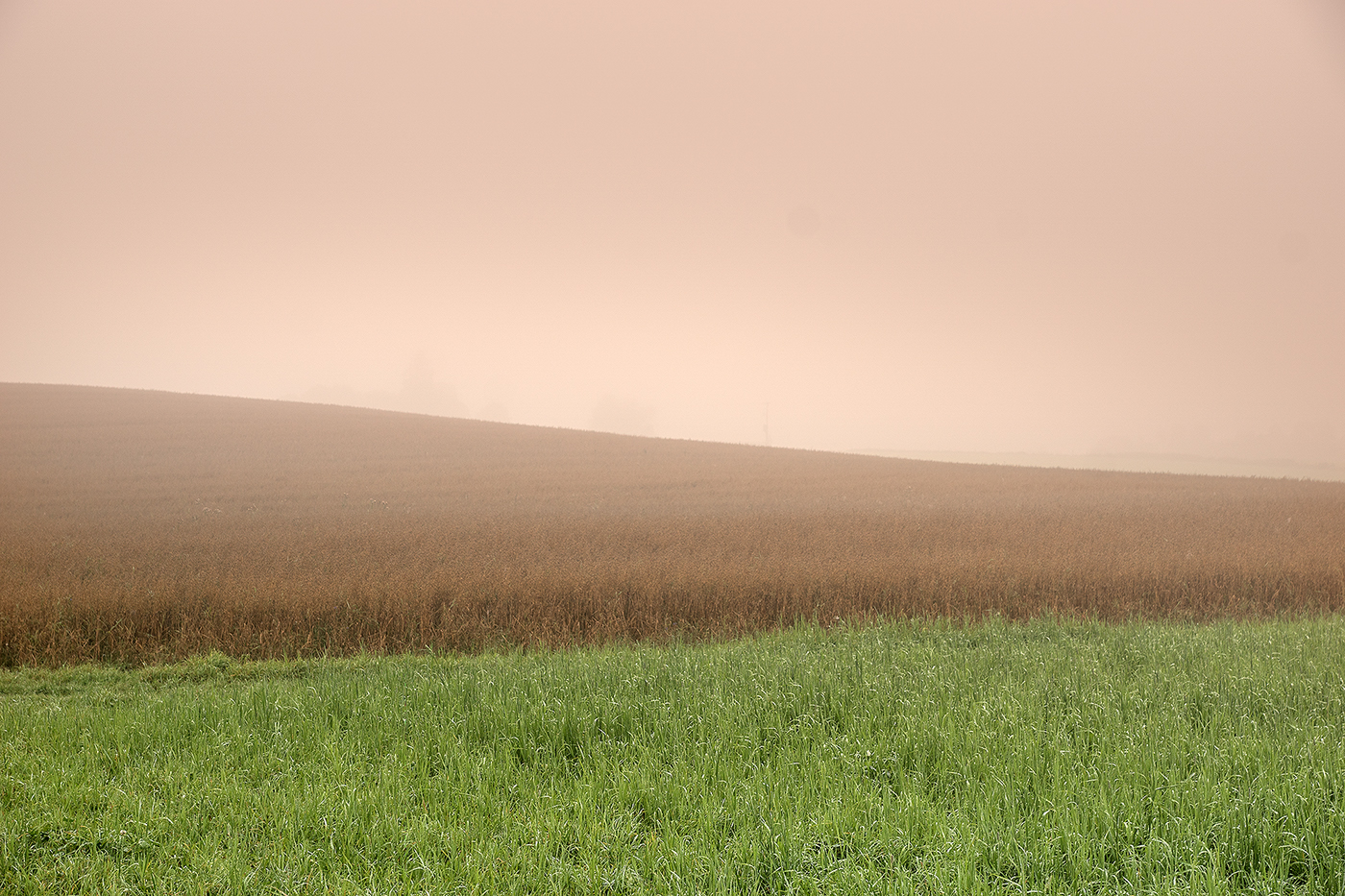 Landscape countryside Travel background fog MORNING