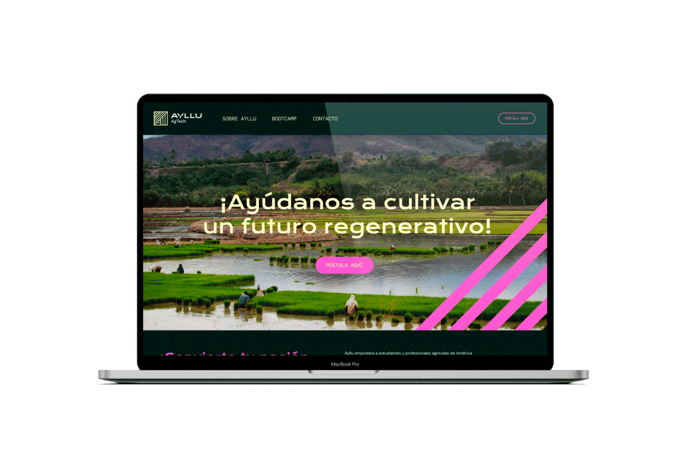 branding  visual identity onu agriculture Technology latinoamerica diseño brand identity Logo Design adobe illustrator