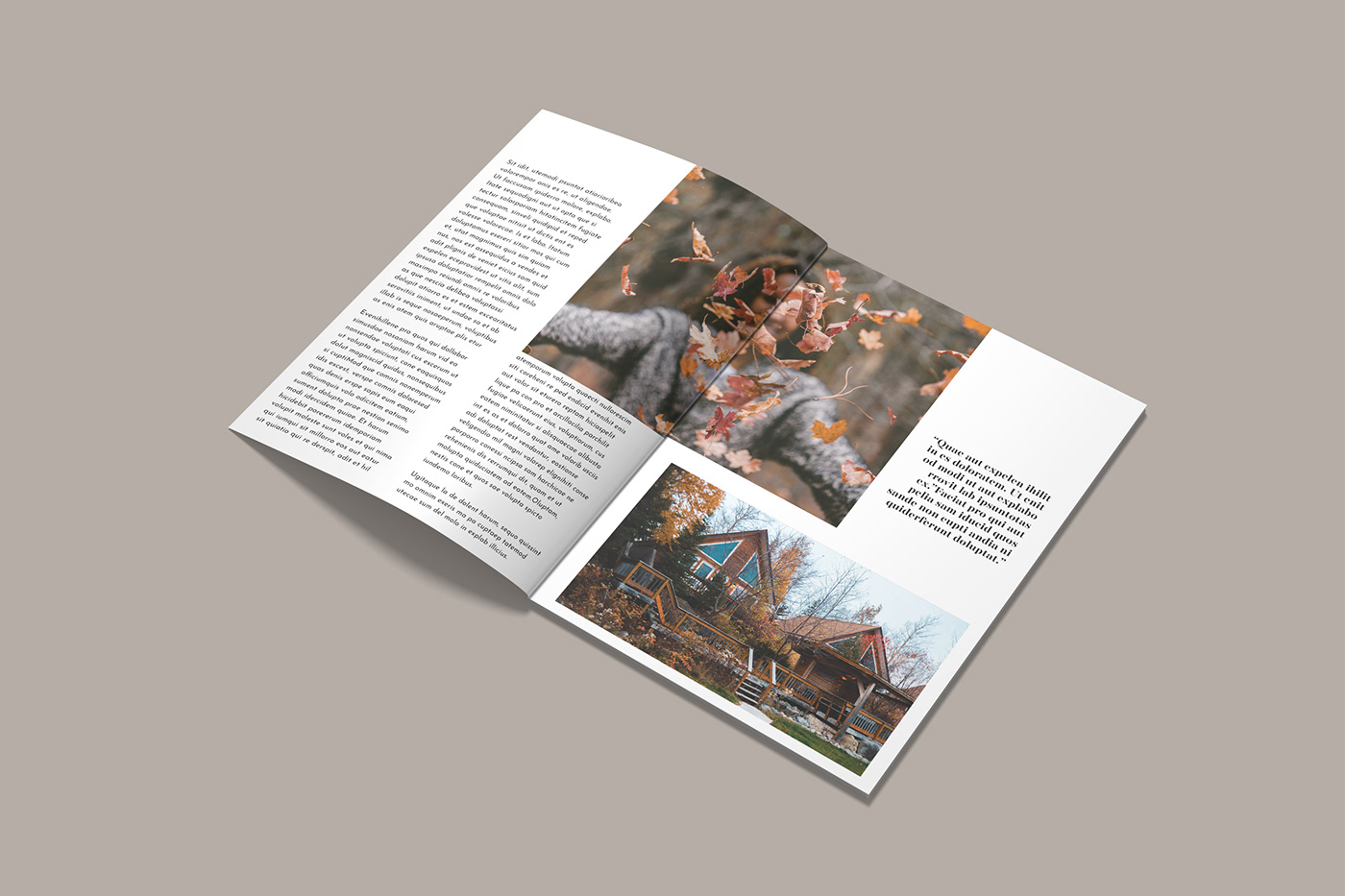 Advertising  briefbox editorial editorial design  graphic design  InDesign Layout magazine Magazine design print