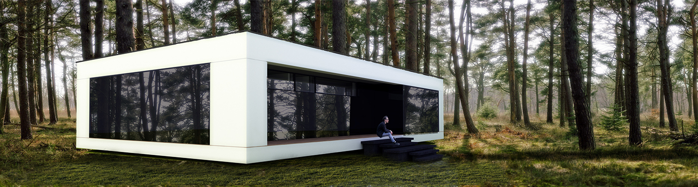 озеро современный Project architecture modern house archviz visualization exterior interior design  modern