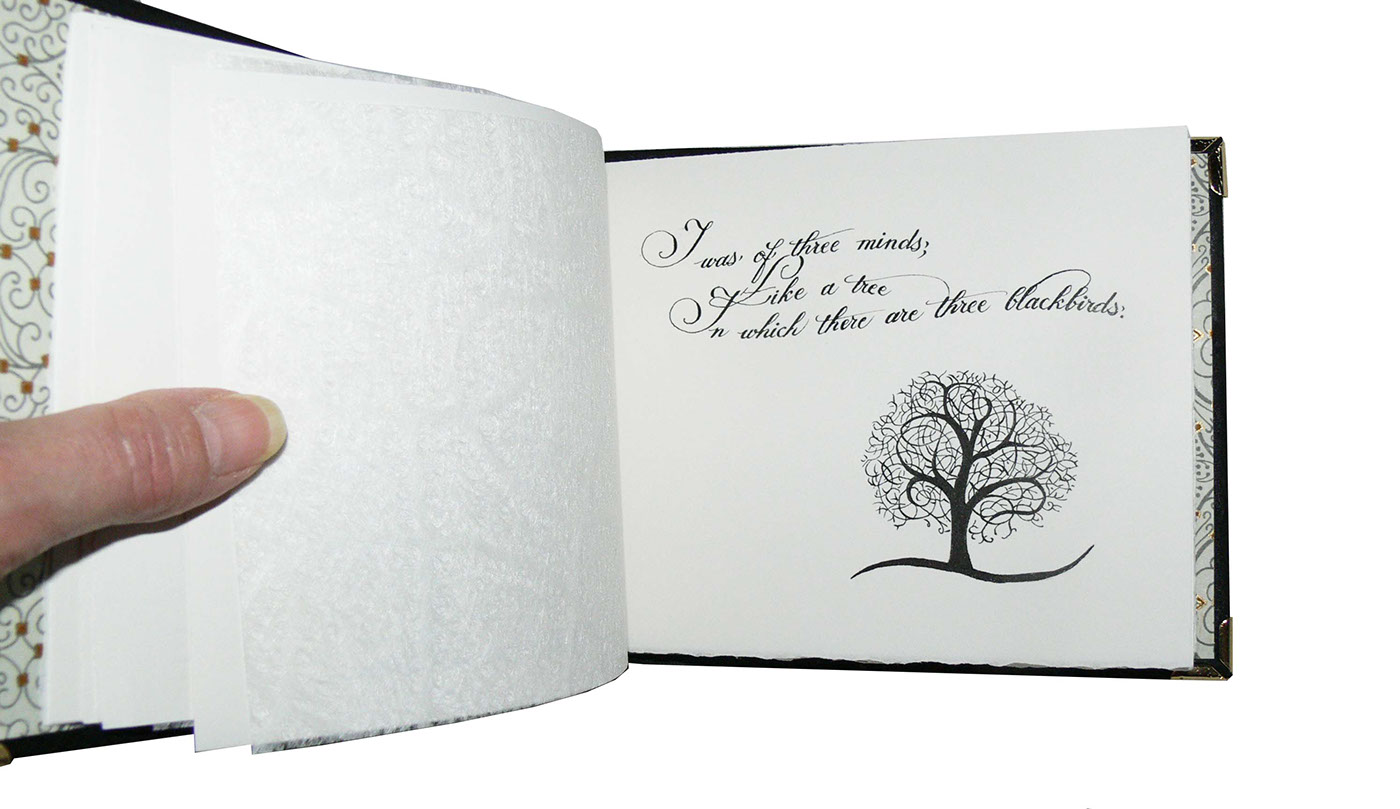 Adobe Portfolio wallace stevens poetry bookbinding calligraphy ink Drawing 