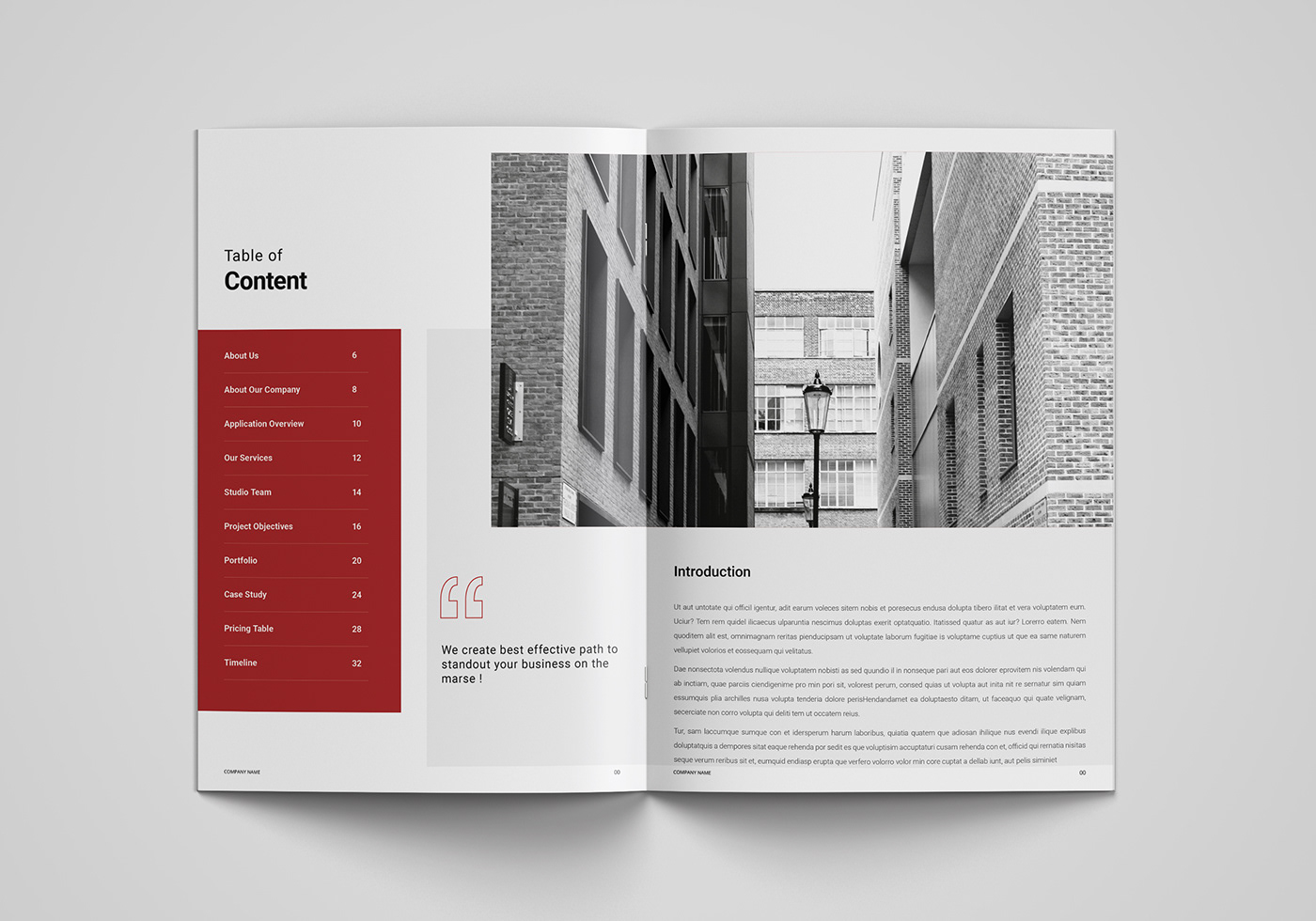 Company profile design company profile brochure design Corporate Brochure annual report