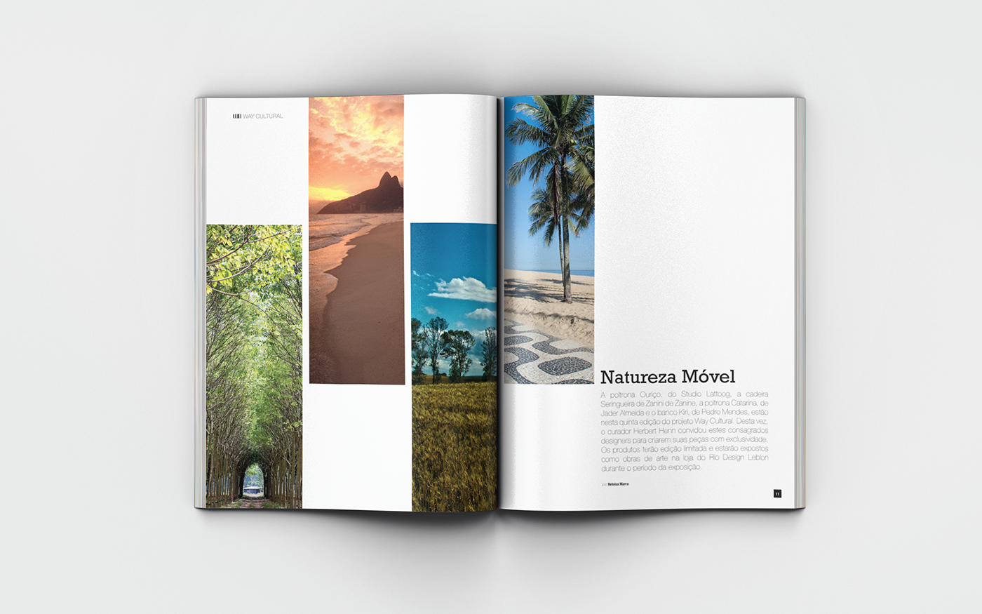 magazine revista revista customizada customized magazine Decoração moda design graphic design  editorial design  art direction 