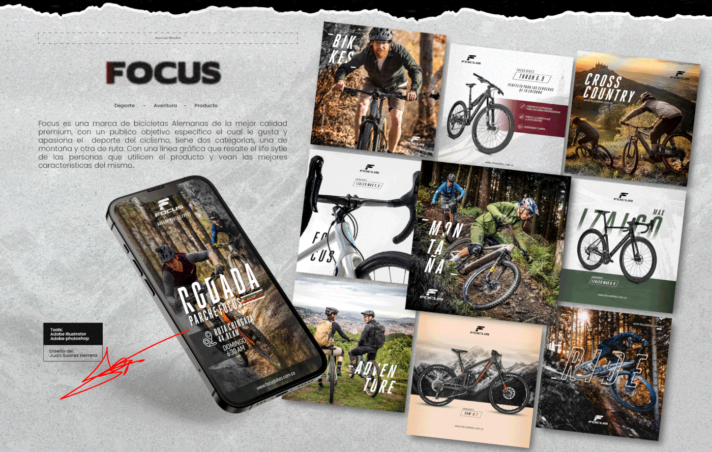 branding  Branding design colombia desing diseño Diseño editorial diseño gráfico grafico portafolio publication