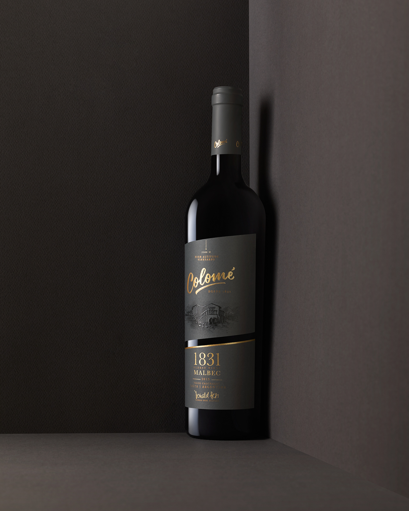 bodega bottle Photography  product vino Vinos wine