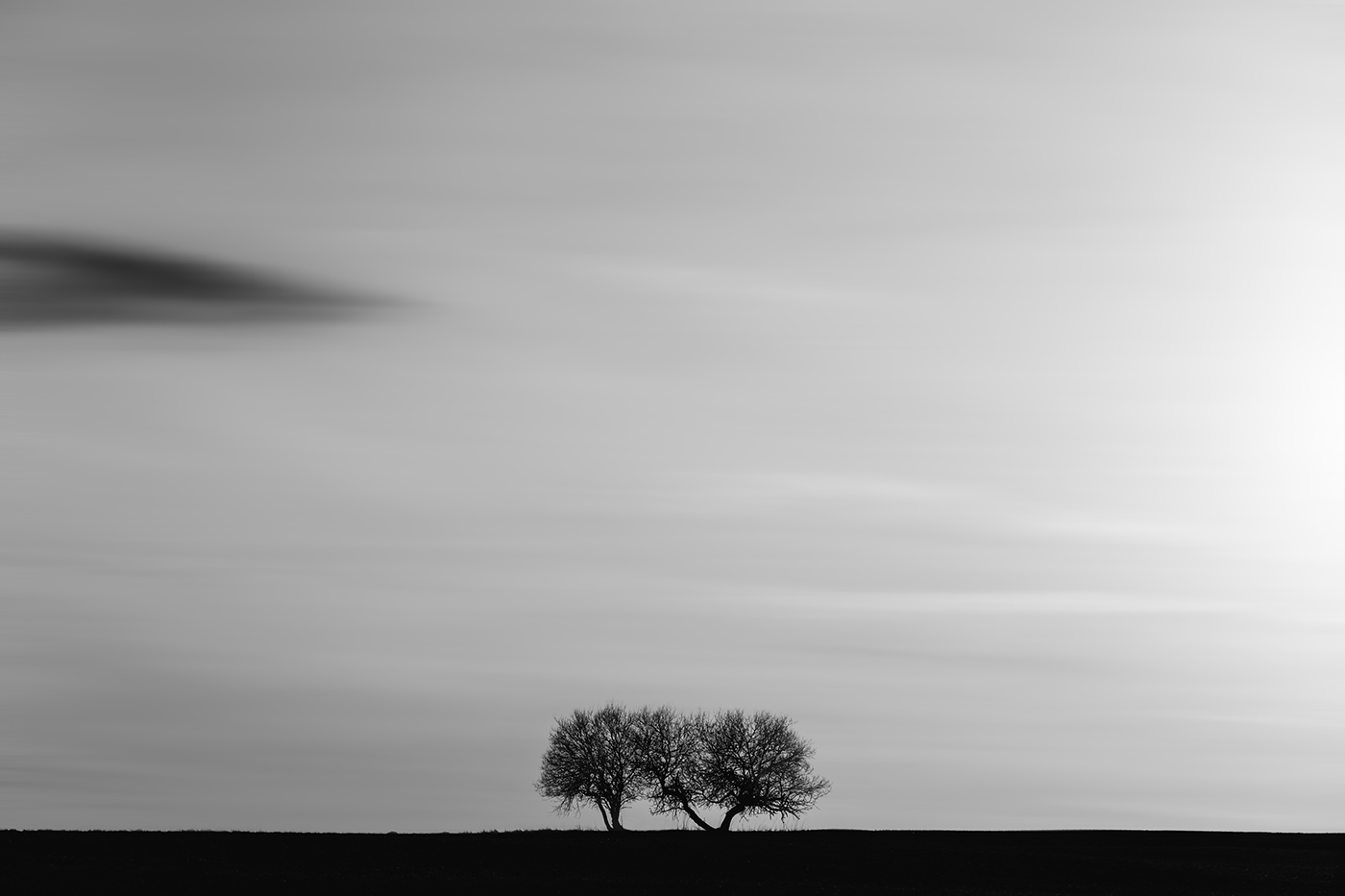 black White blackandwhite minimal Minimalism Nature Landscape trees monochrome Schwarzweiß