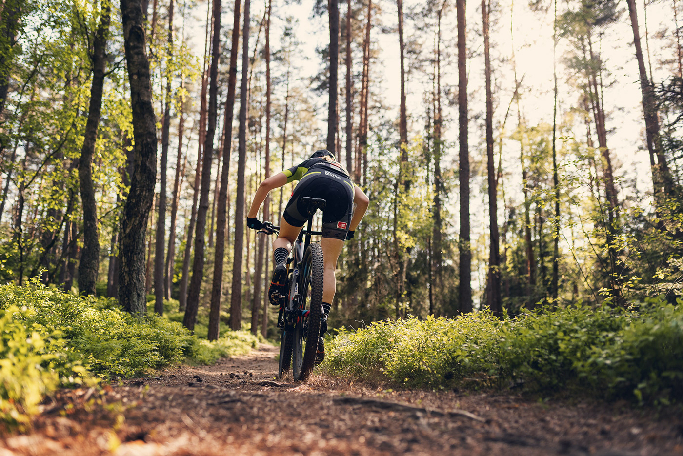 sports mountainbike woods Nature Bike Cycling trails cube