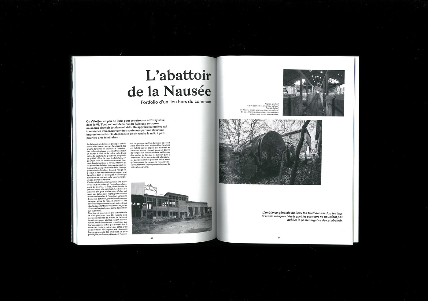 magazine Paranormal graphic design  design editorial edition publication Layout