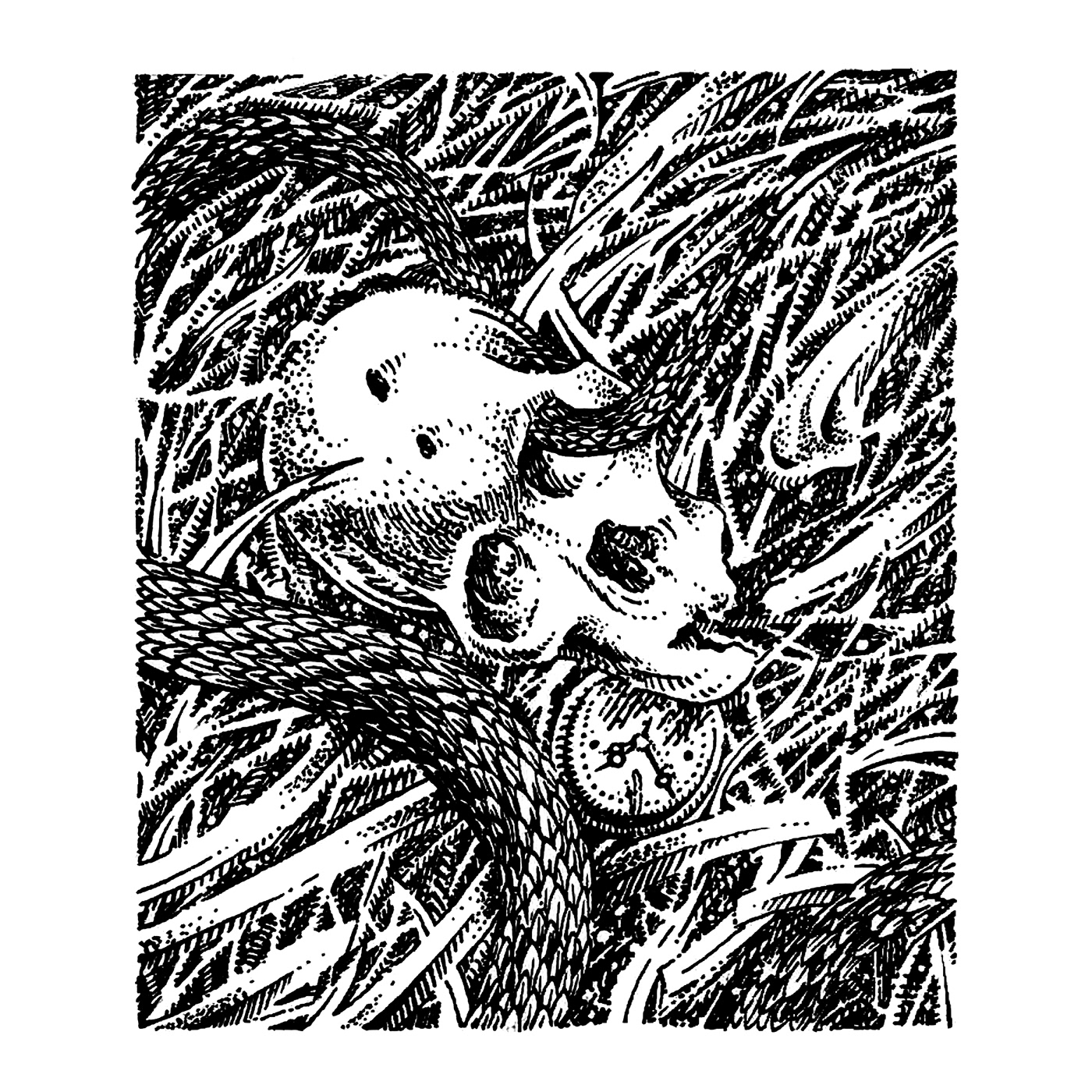 death ILLUSTRATION  skull snake serpent grass ink ink drawing darkart Deathmetal