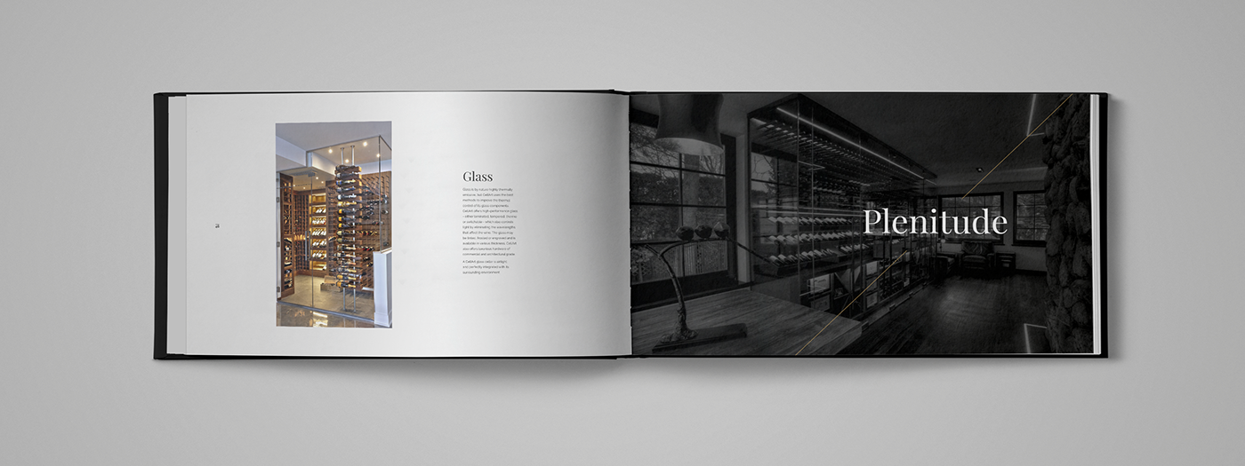 Adobe Portfolio design graphique edition mise en page graphisme livre Catalogue