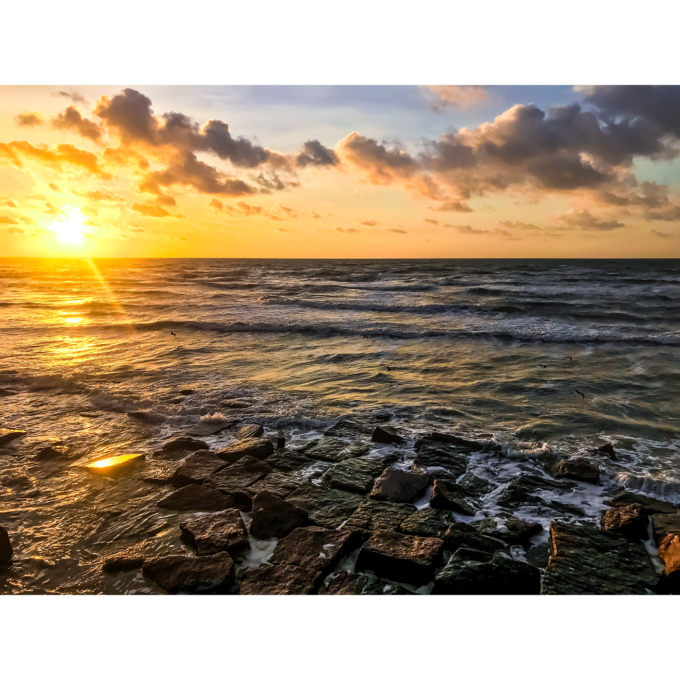 Sunrise sunset Texas beaches Surf hurricane Gulf of Mexico Galveston Island  seagulls pelicans art pleasure pier waves sand Sun Seashells tide Photography 