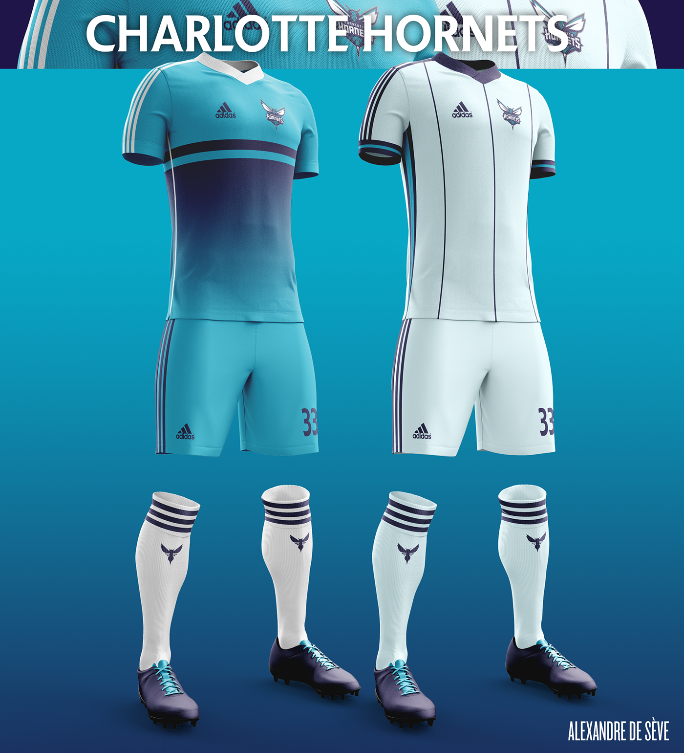 Talisman & Co. | Charlotte Hornets Soccer Concept Kit