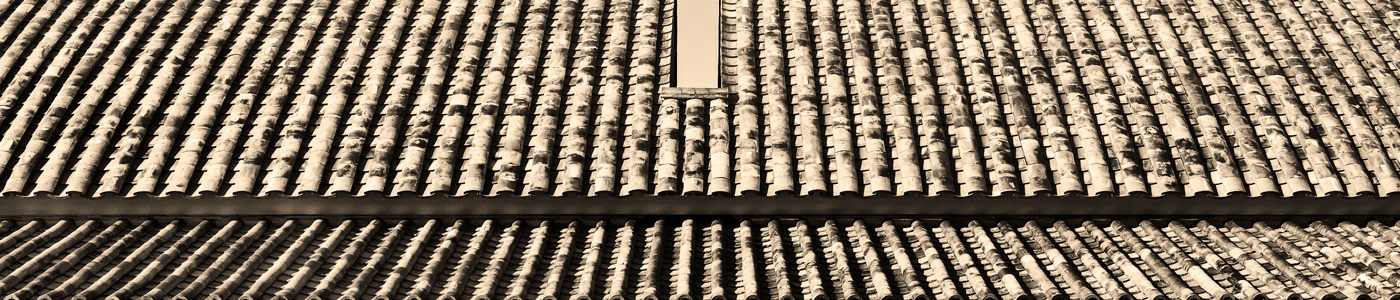 Nihon no Yane / Roof tile is one of the Japanese roofing materials. Palace; Nara, JAPAN
