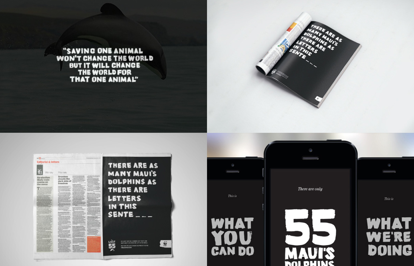 485 Design The Last 55 maui's dolphin Typeface poster campaign Graphic Design NZ New Zealand