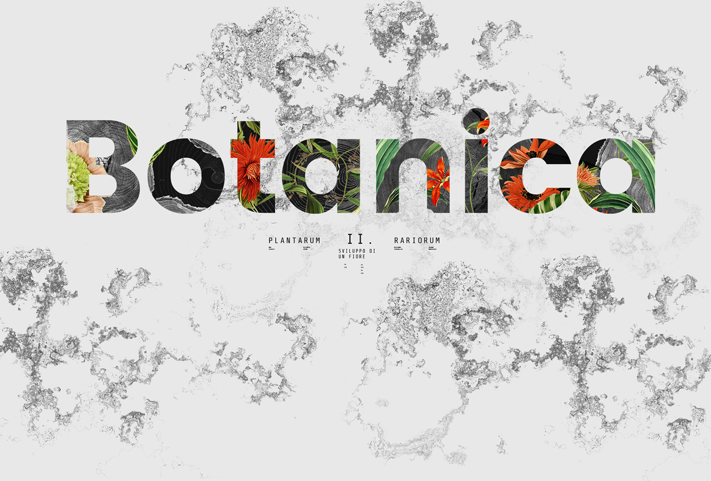 animation  video botany botanical plants music Nature flower science Herbarium