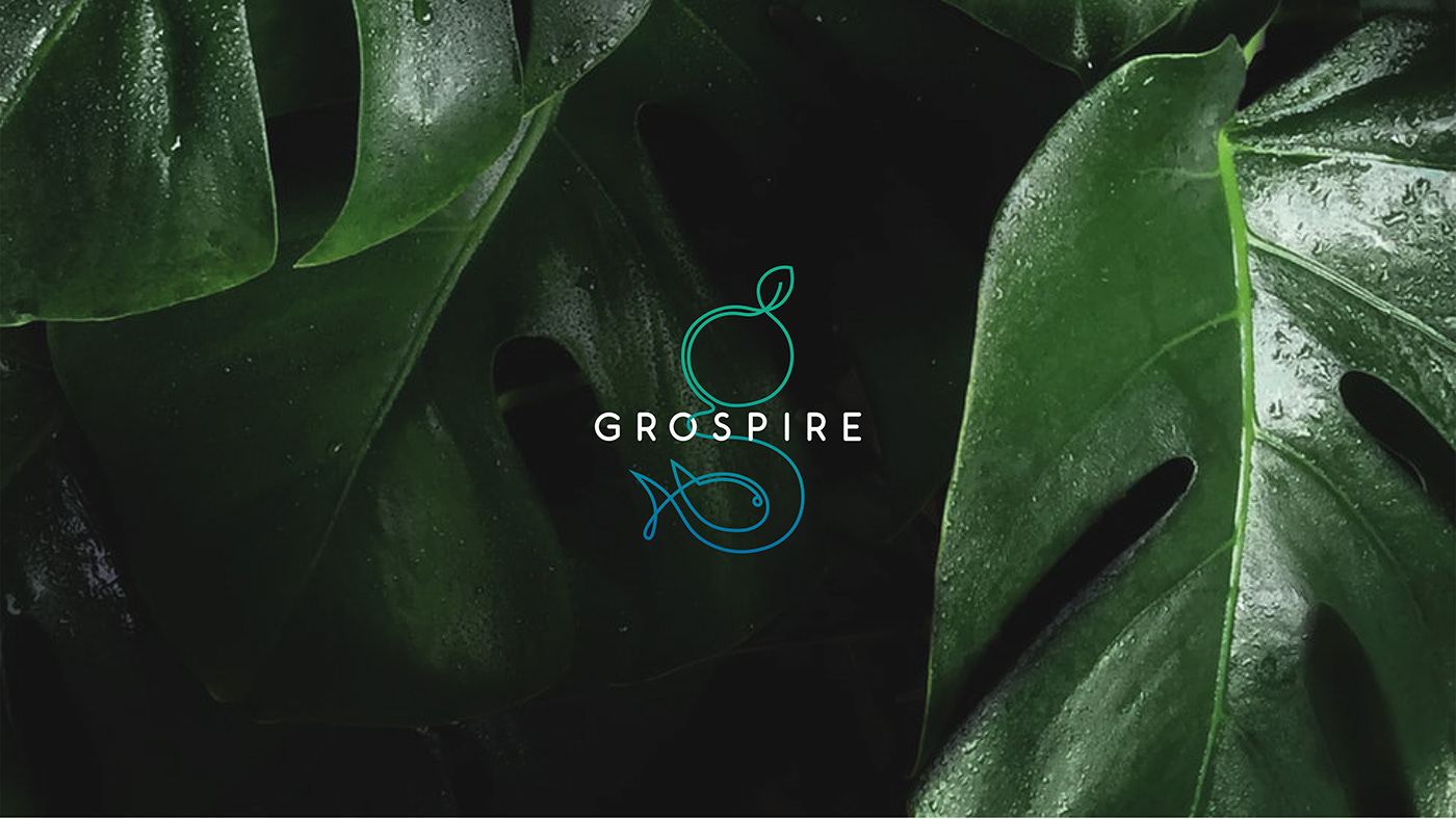 grow Food  aquaponics design graphicdesign editorial branding  identity innovation