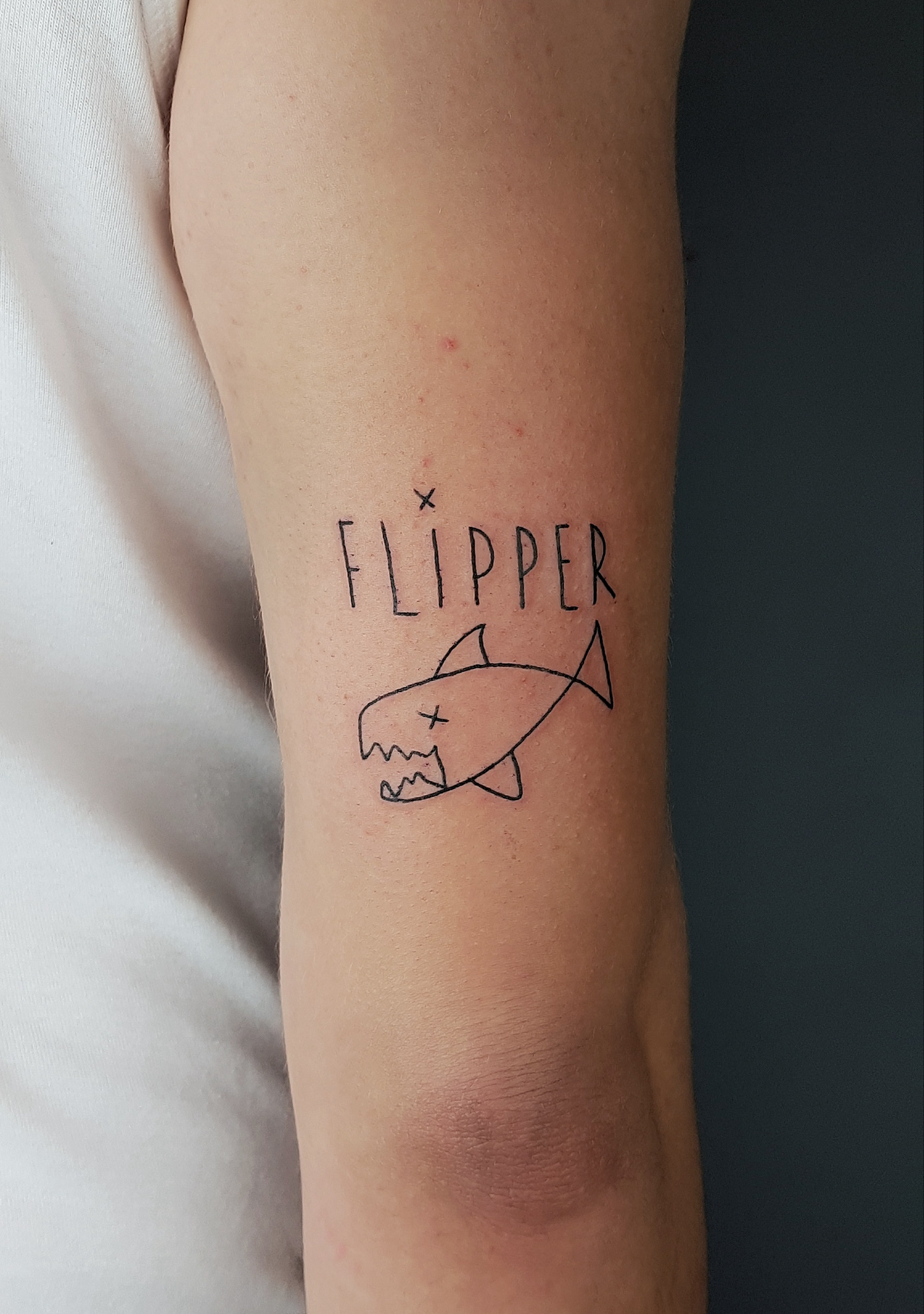 blackwork Flipper graphictatto illustrativetattoo ink linework tattoo tattoodesign   tattooflash