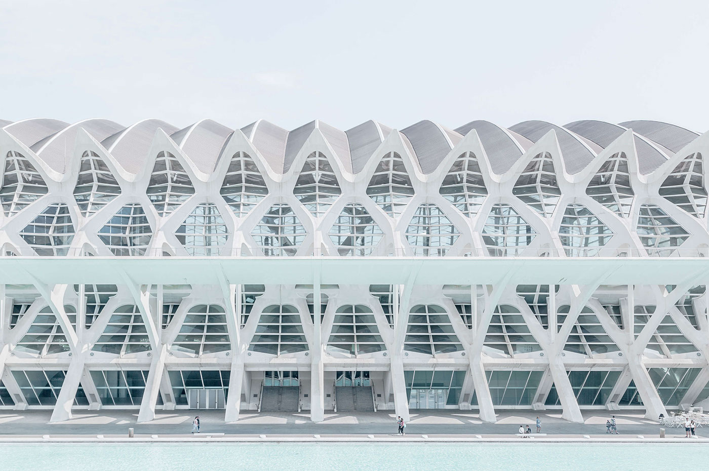 architecture clean minimal building Photography  valencia calatrava geometry geometric arch
