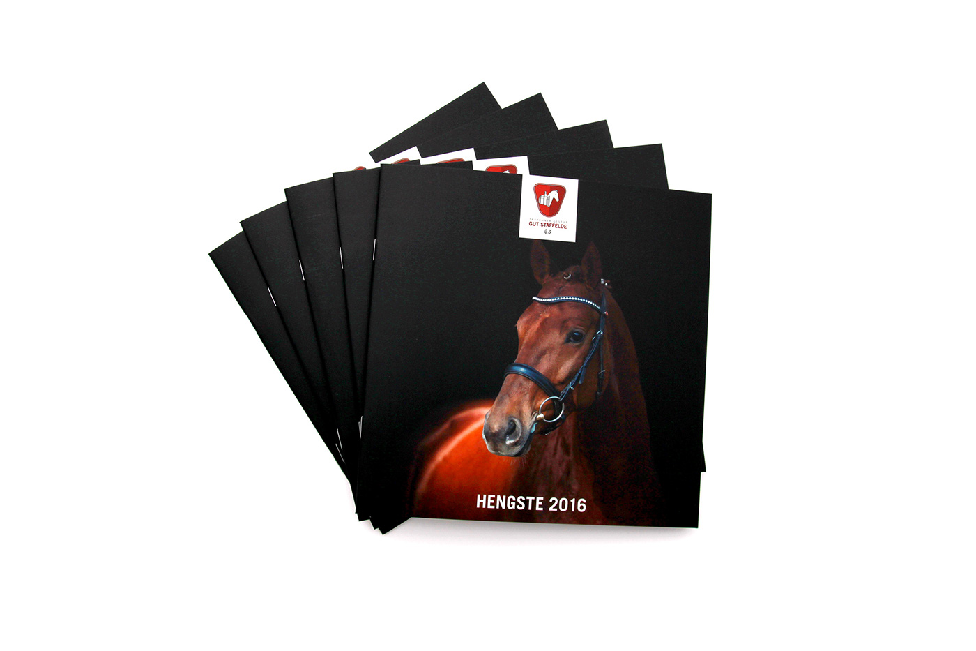Pferd Gestüt Pferdegut Hengste broschure brochure magazine magazin