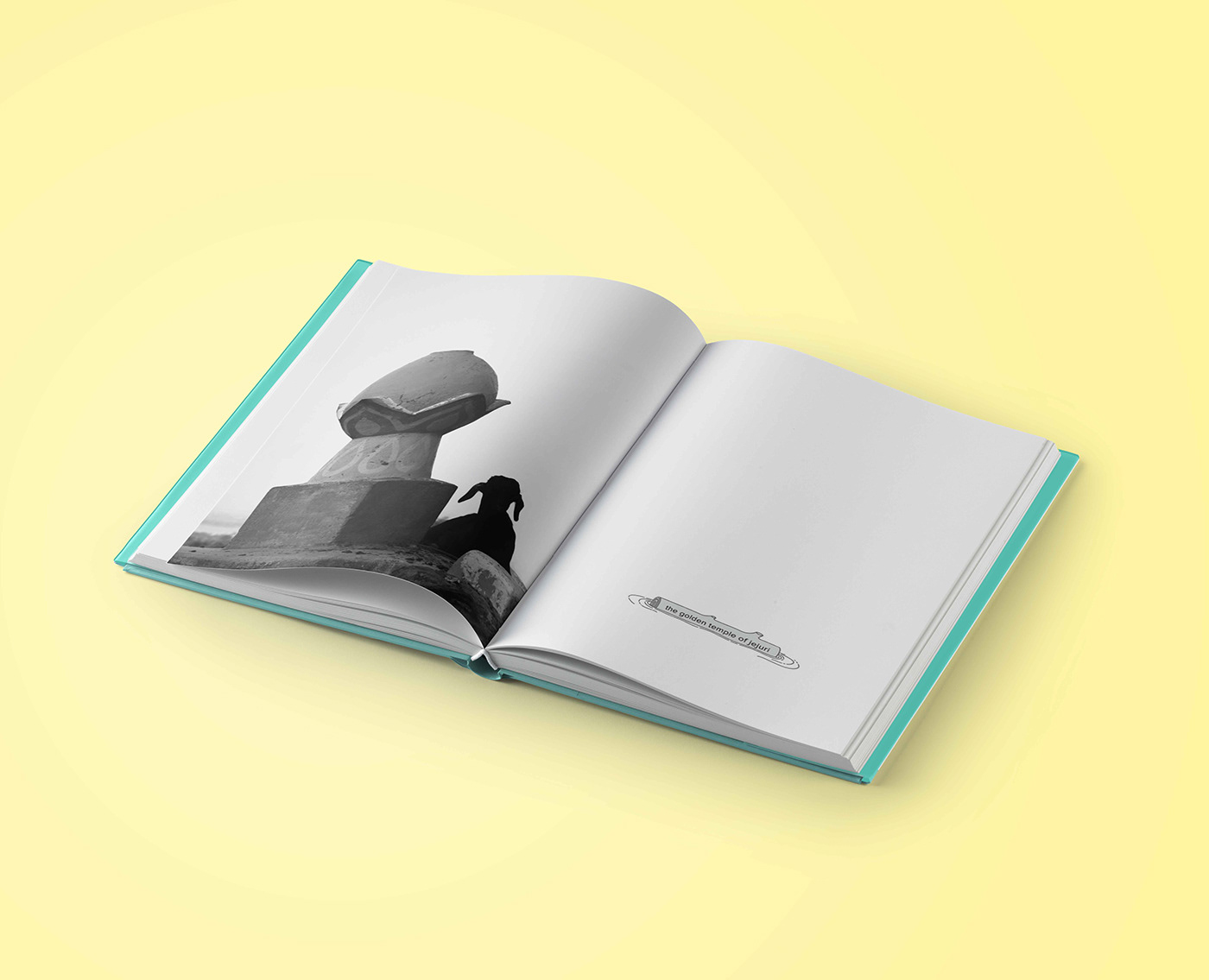 book design layouting cover design graphic design  ILLUSTRATION  product design 