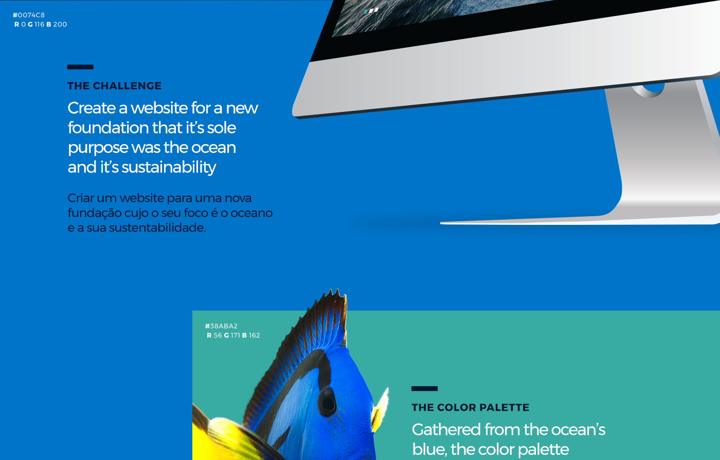 Web Design  UI/UX design Interface Isobar lisboa Portugal Ocean foundation photoshop
