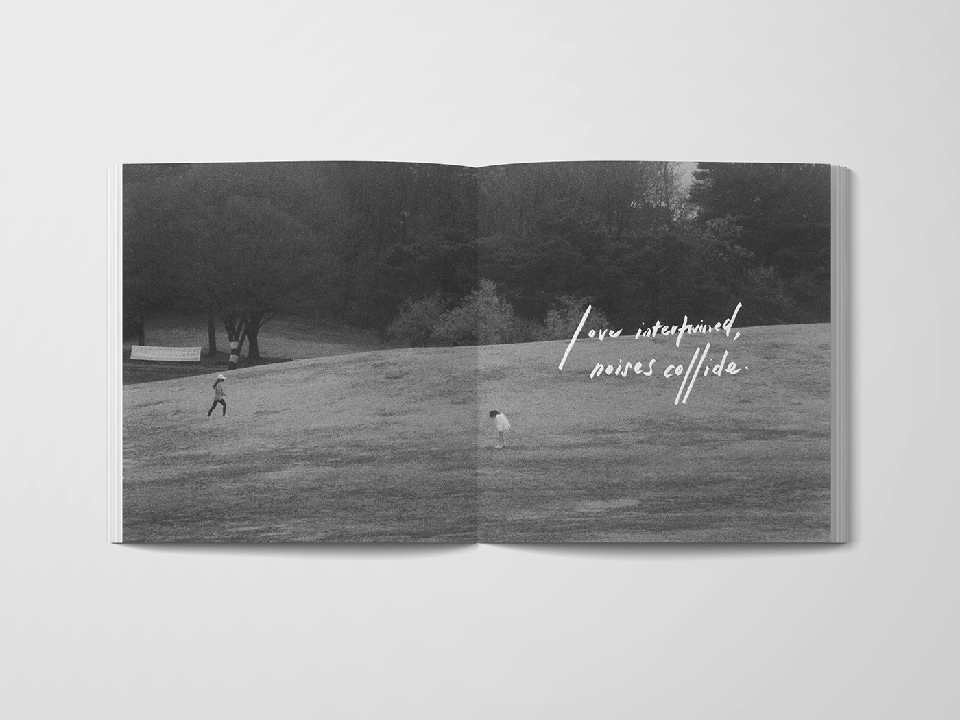 film photography Poetry  design book handwritten 35mm black and white Photography  Zine  арт