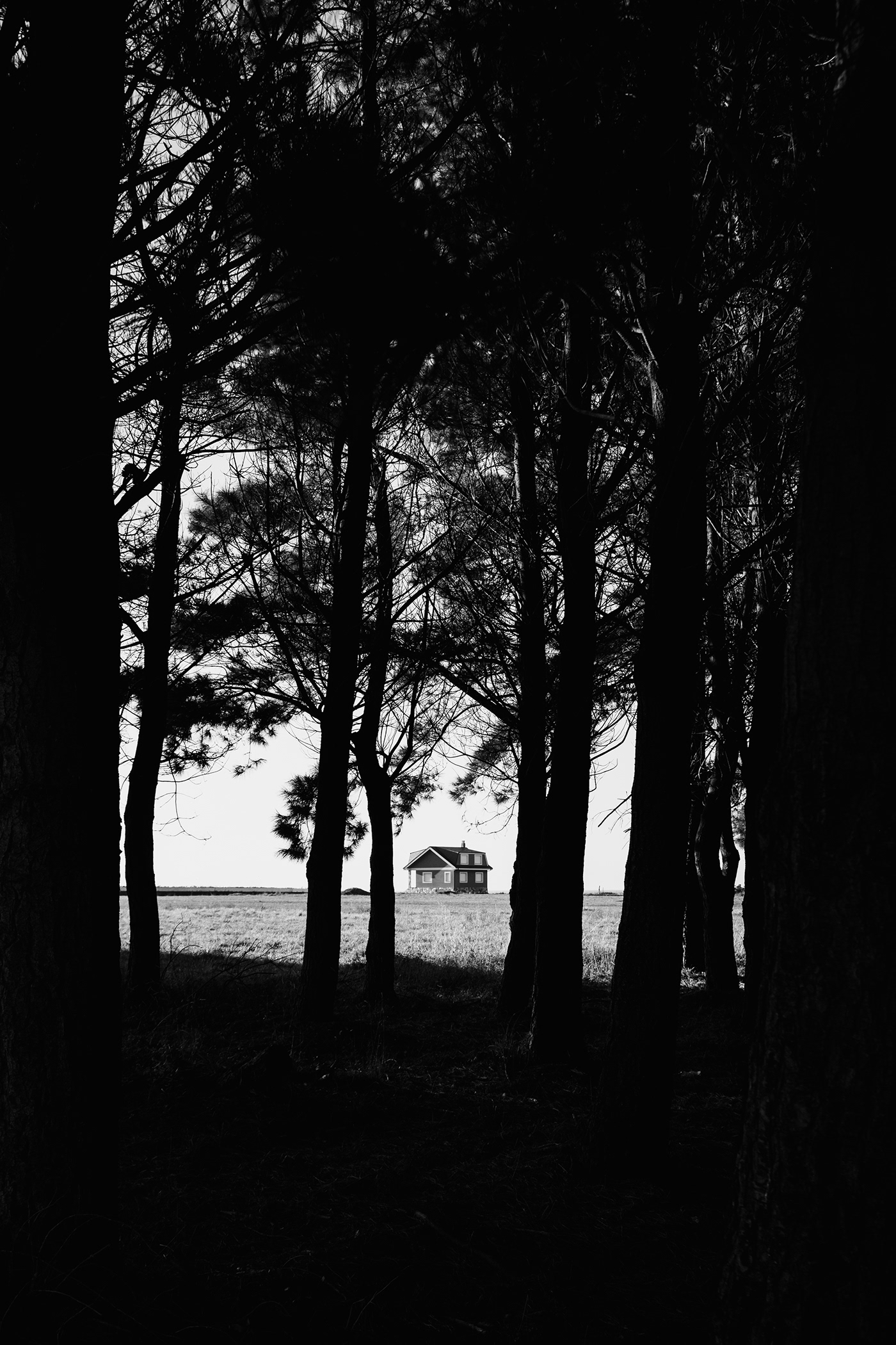 blackandwhite fujifilm Fujifilm X100V Landscape monochrome Nature Photography  Portugal spain Travel