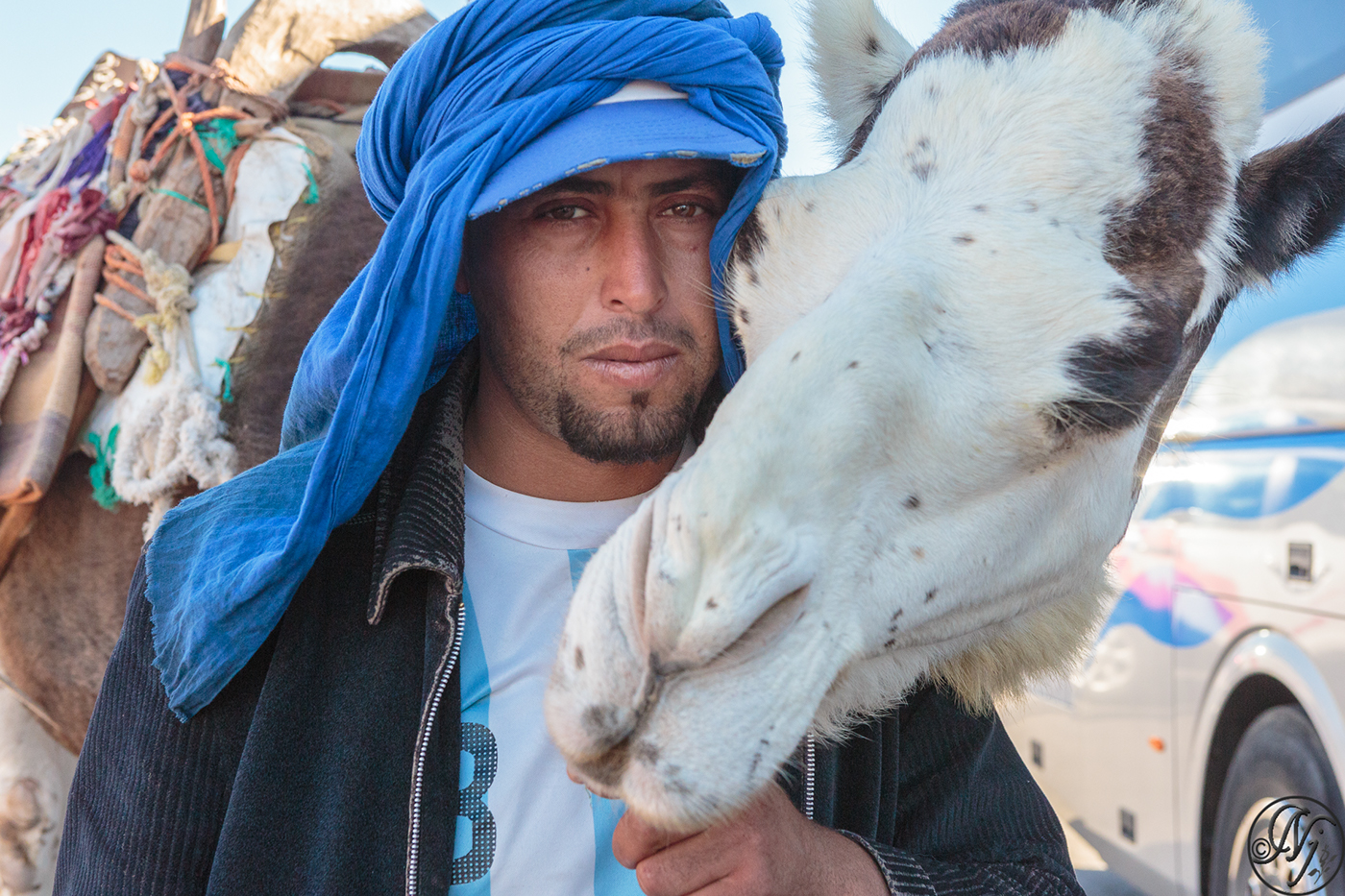 camel Morocco Travel