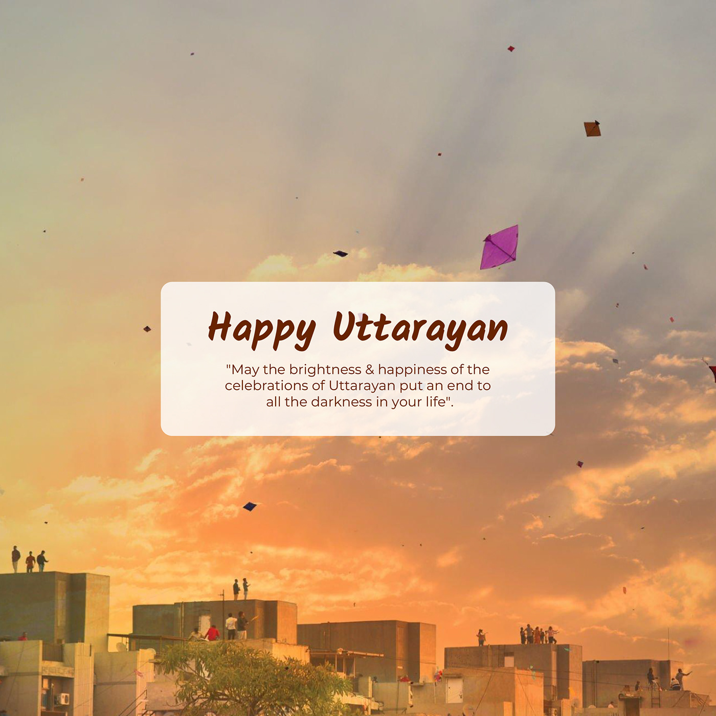 makar sankranti UTTRAYAN Kite Kite Festival Happy Makar Sankranti Sankranti happy Uttrayan patang