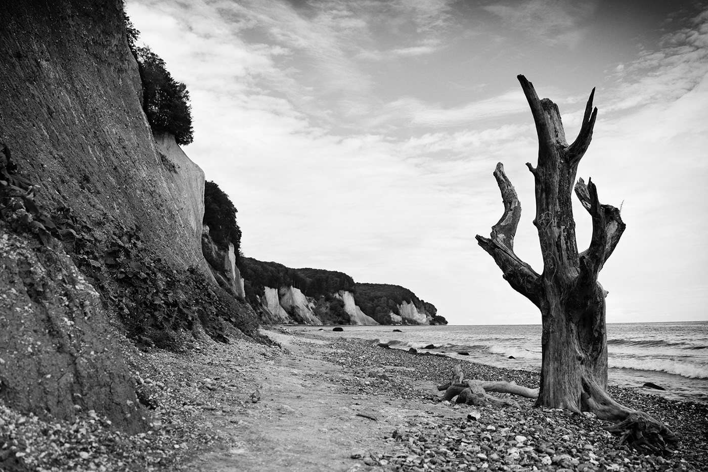 germany Photography  Nature fineartphotography BW photography rügen Landscape Outdoor balticsea Ostsee