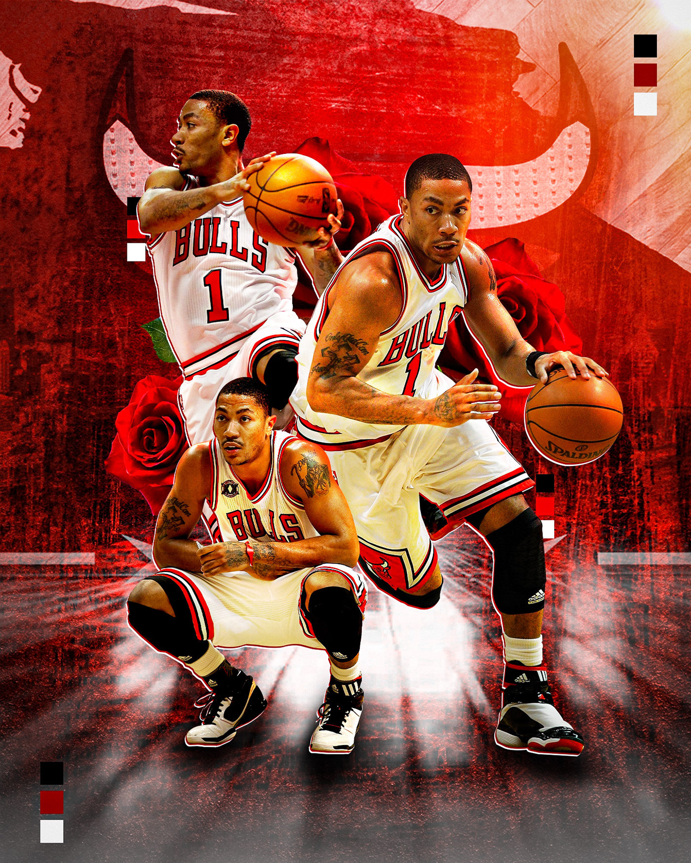 chicago bulls NBA Poster NBA design NBA NBA Art nba banner design Derrick Rose