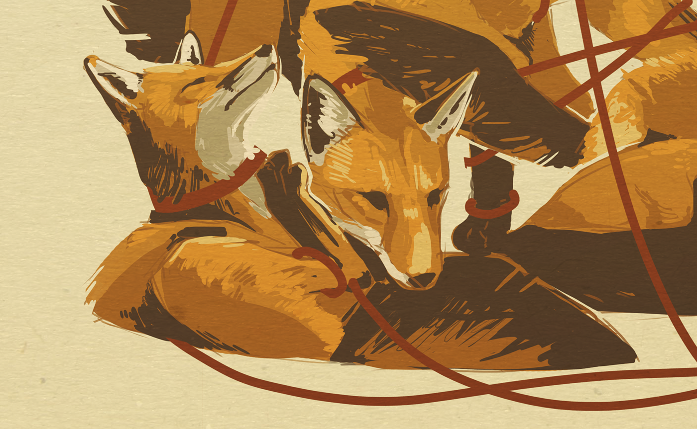 foxes FOX ILLUSTRATION  design graphic design  concept concepts risd painting   digital painting