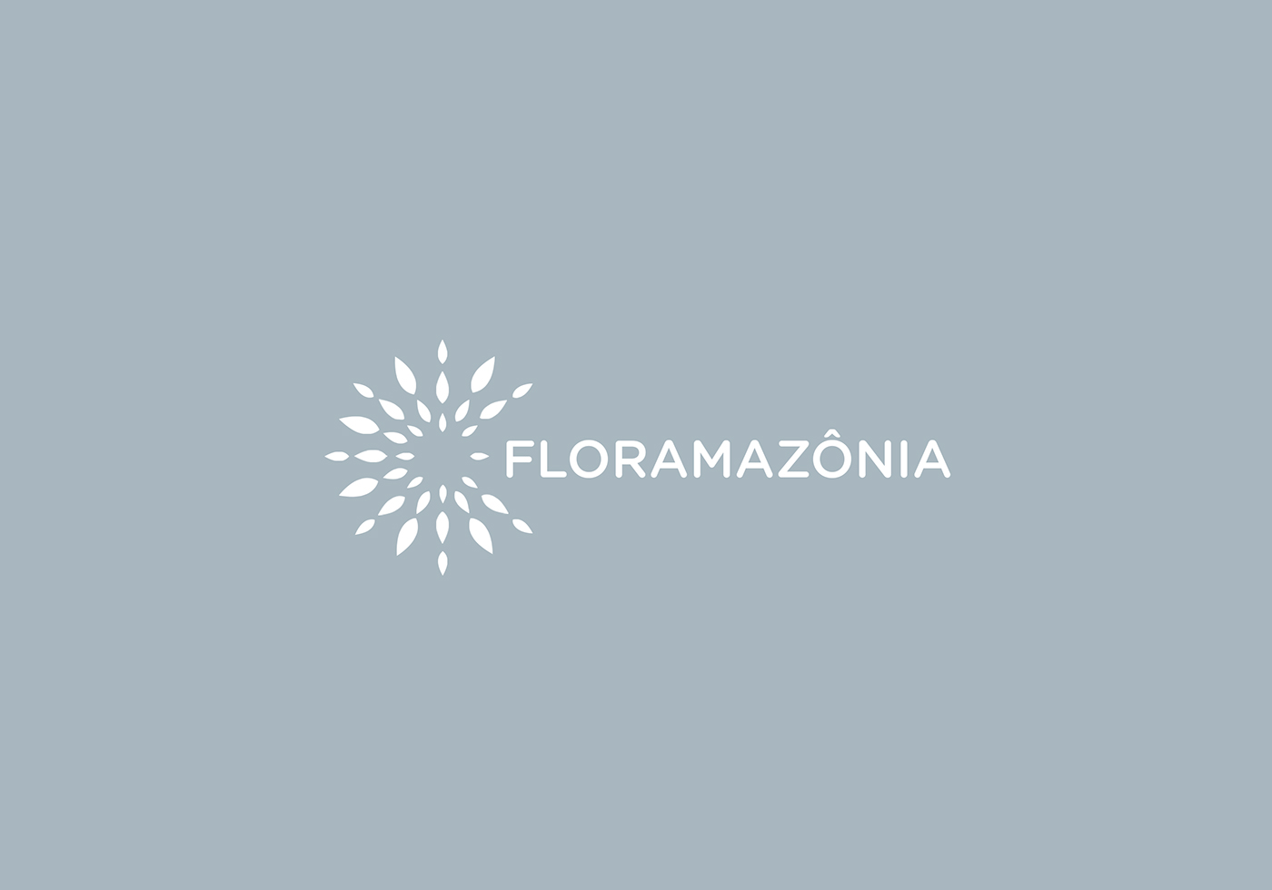 flor amazonia Flores marca Logotipo Cores identidade visual